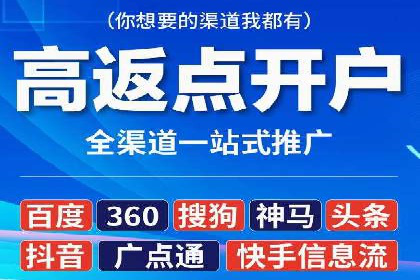 百度竞价广告投放策略及成功盈利案例